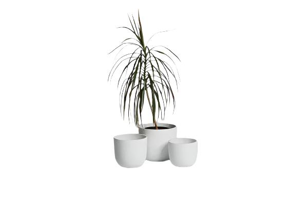 The Mini Rustie Pot White - Medium | Ned Collections
