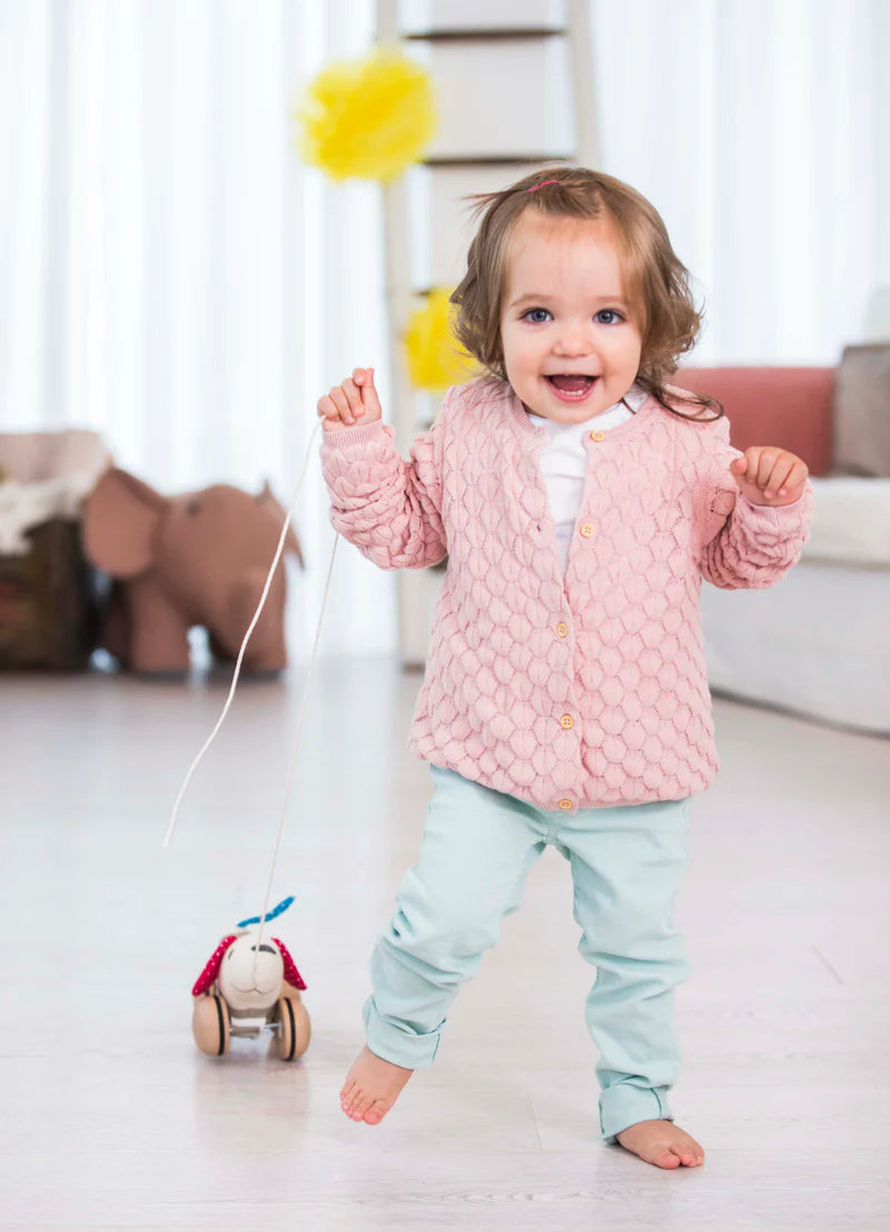 Pull Along Dog | Hape