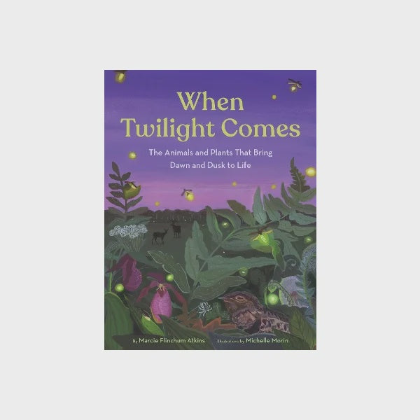 When Twilight Comes | Marcie Flinchum Atkins
