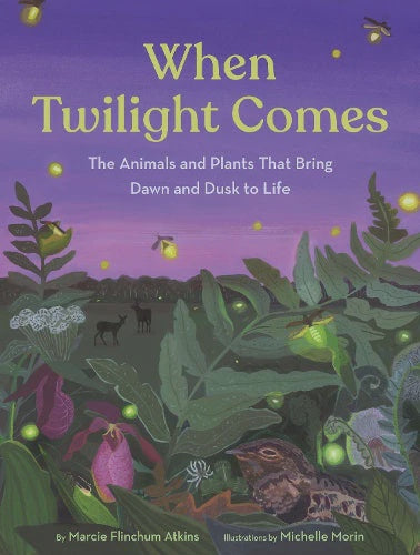 When Twilight Comes | Marcie Flinchum Atkins