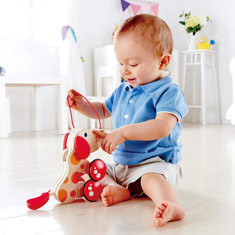 Pepe Pull Along | Hape