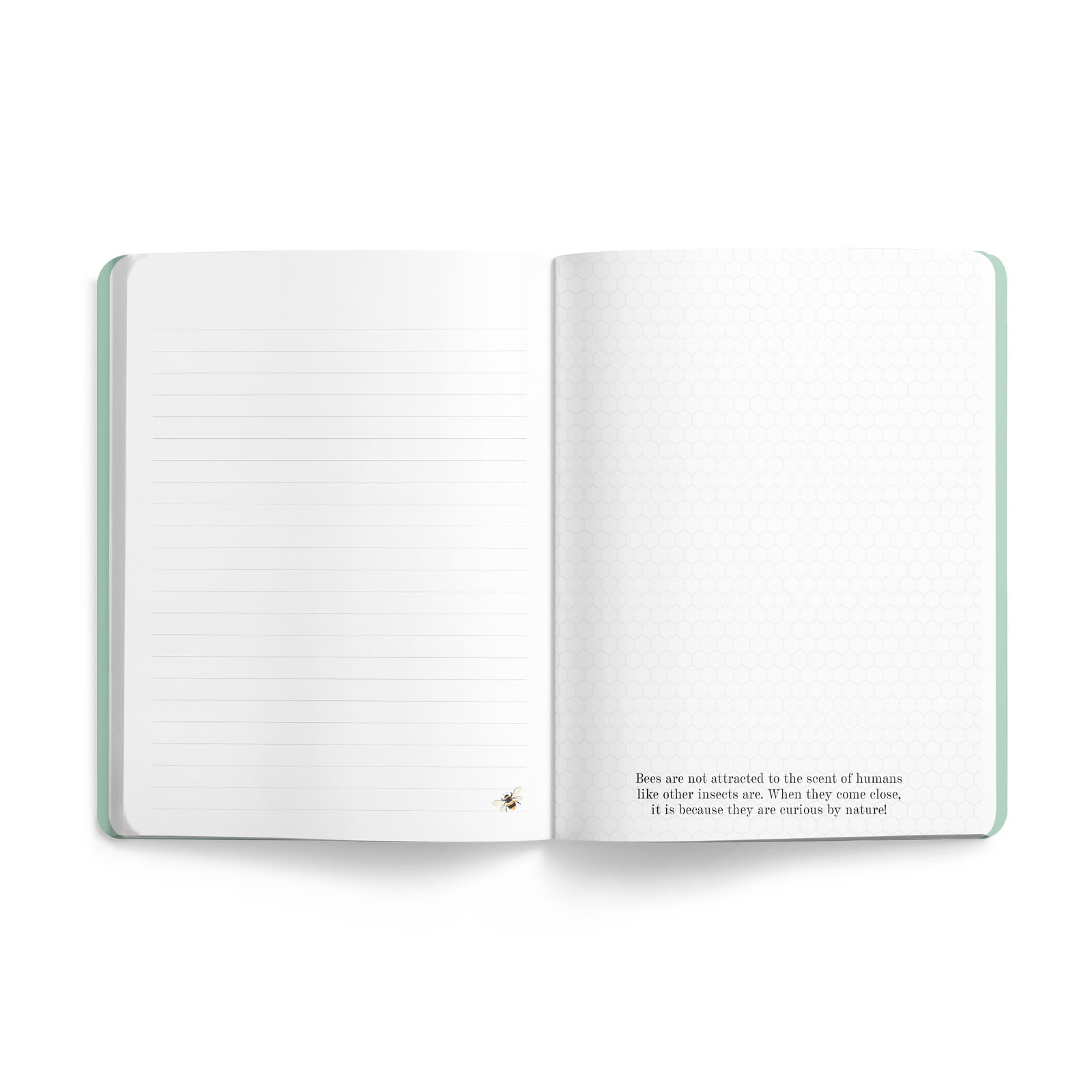 Bee Journal | Twigseeds