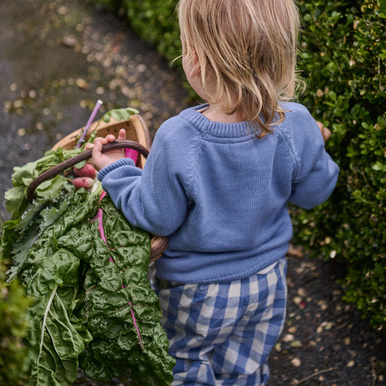 BILLY JUMPER - Dusky Blue Cable Knit | Nature Baby