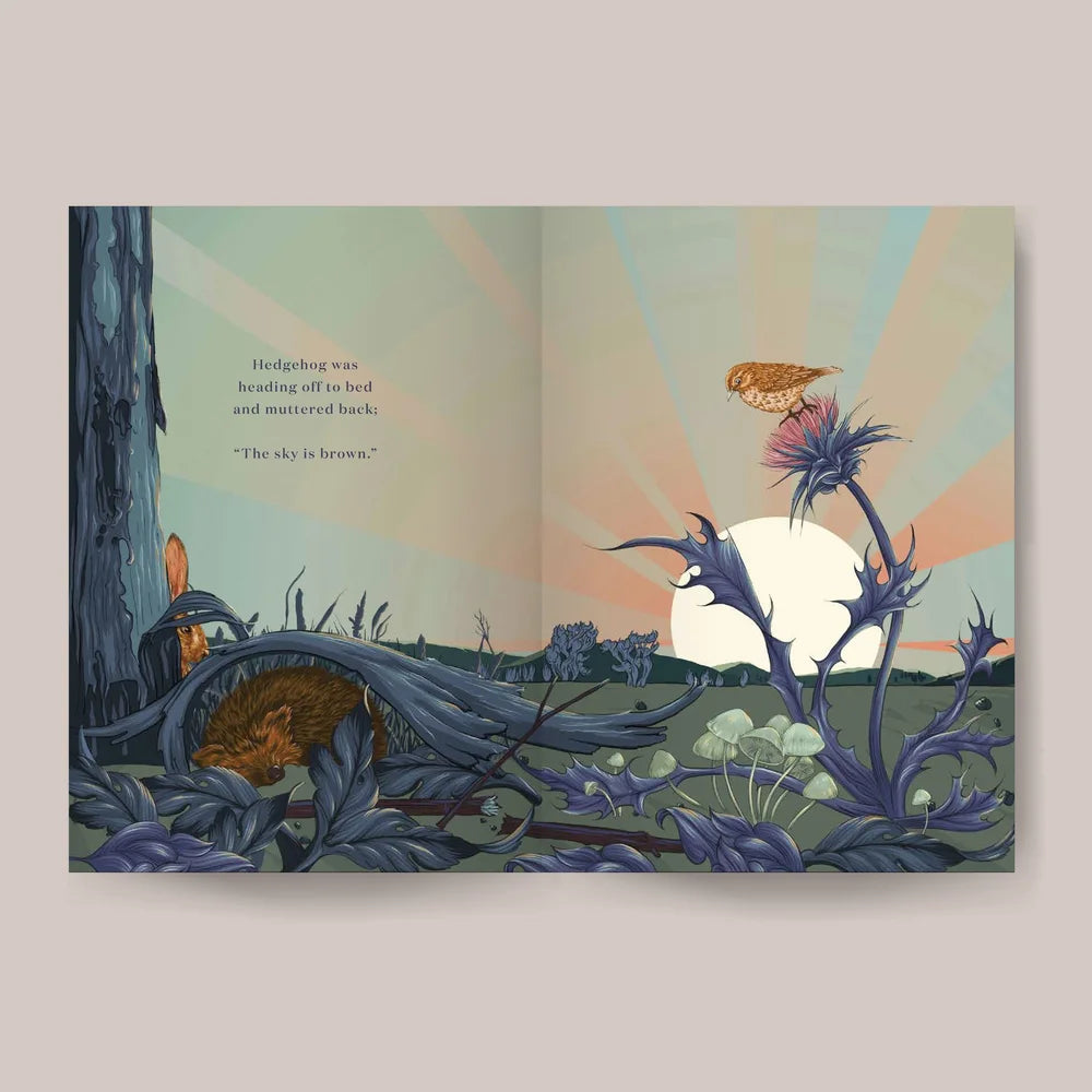 What Colour Is The Sky? | Laura Shallcrass