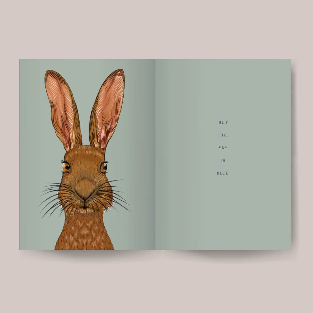 What Colour Is The Sky? | Laura Shallcrass