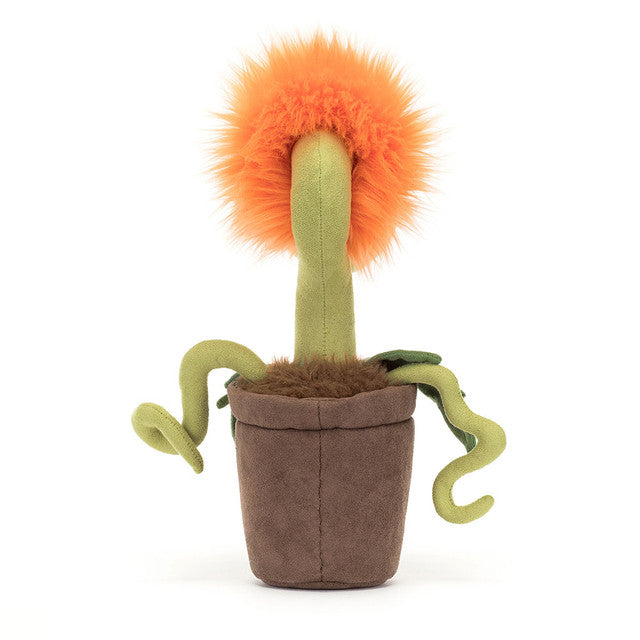 Carniflore Tammie | Jellycat