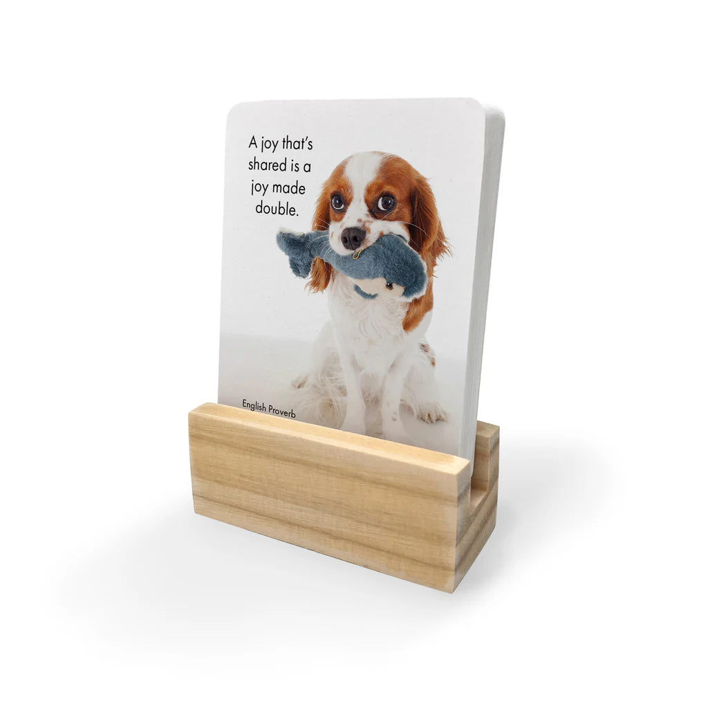 Live Love Bark - Affirmation Cards | Affirmations