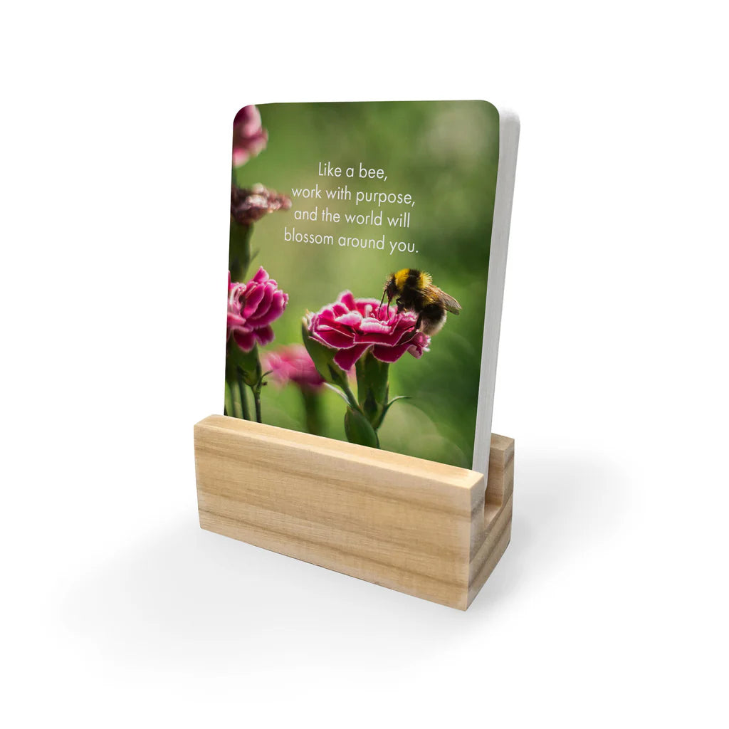 Bee You - Affirmation Cards | Affirmations