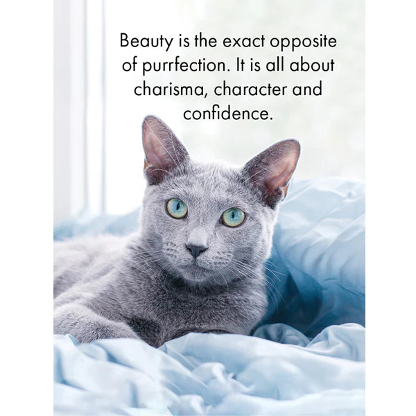 The Cats Whiskers - Affirmation Cards | Affirmations