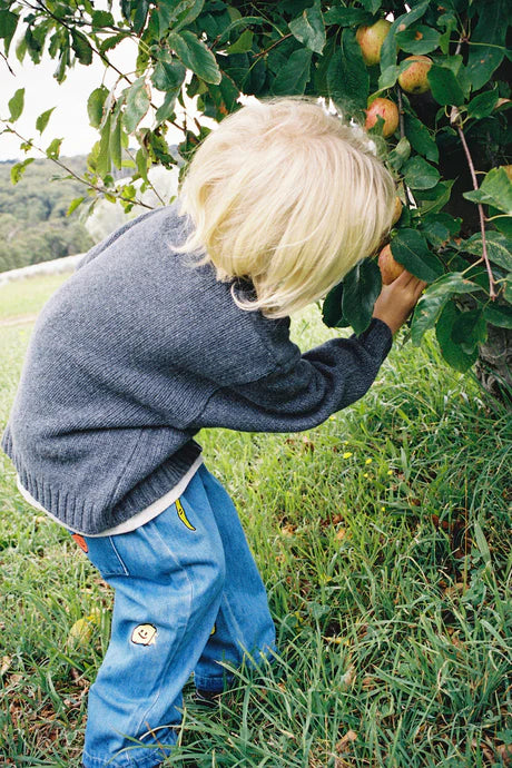 Organic Fruit Salad Denim Pants | Grown
