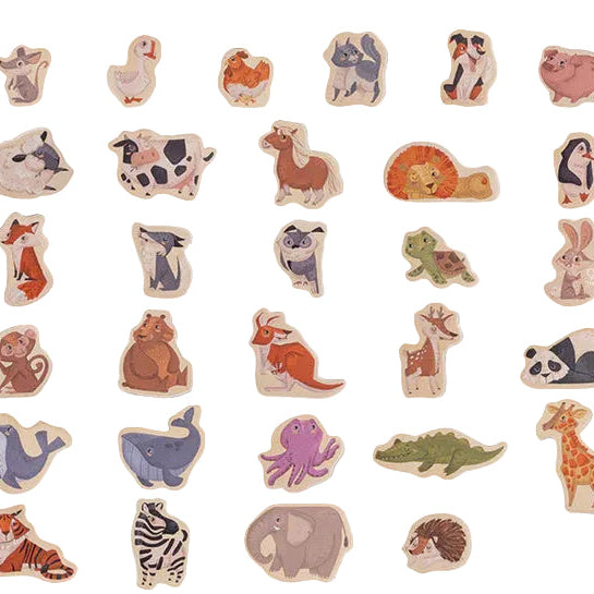 Magnetic Animals - 30pc | Hape
