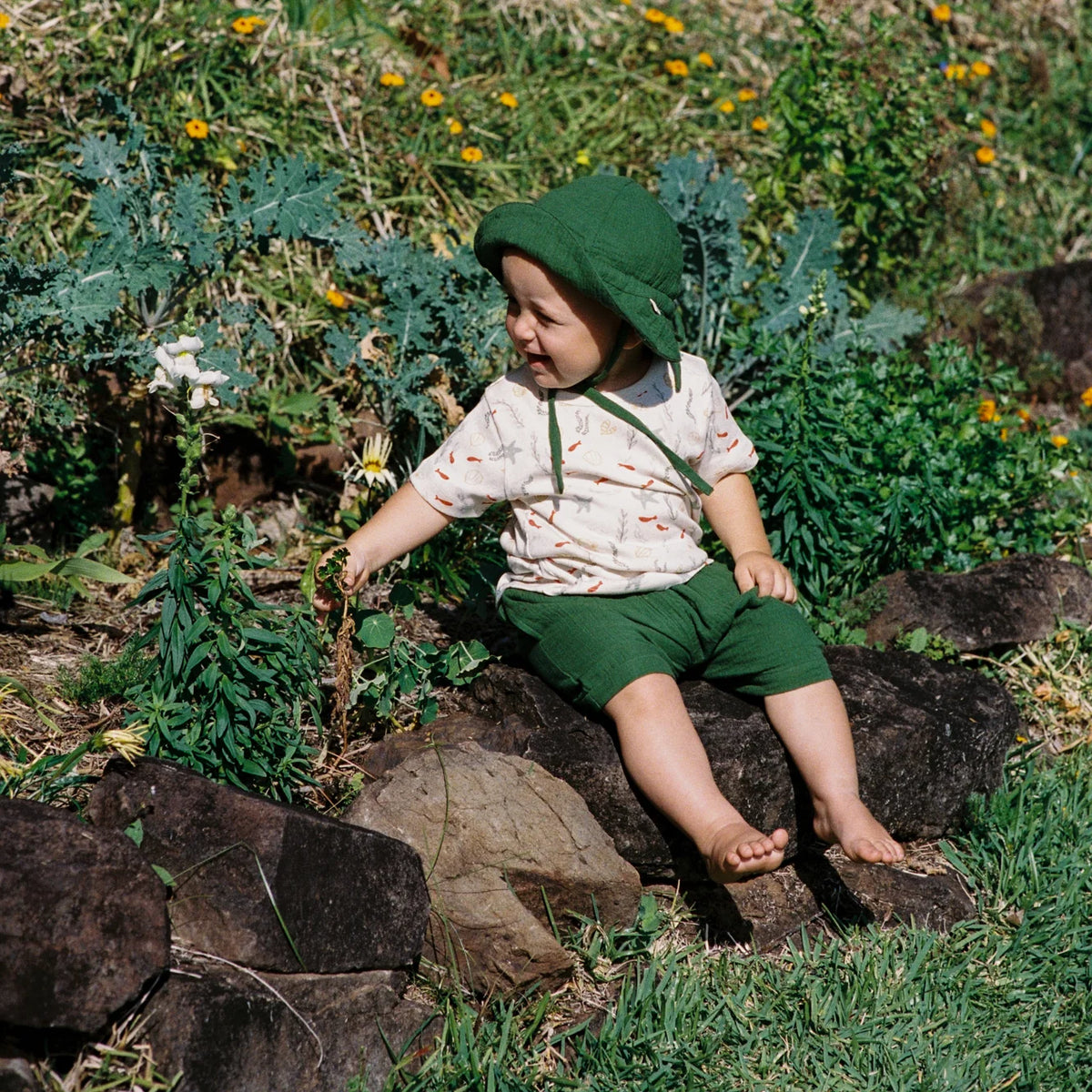 JAMES SHORTS MUSLIN - Fir Green | Nature Baby