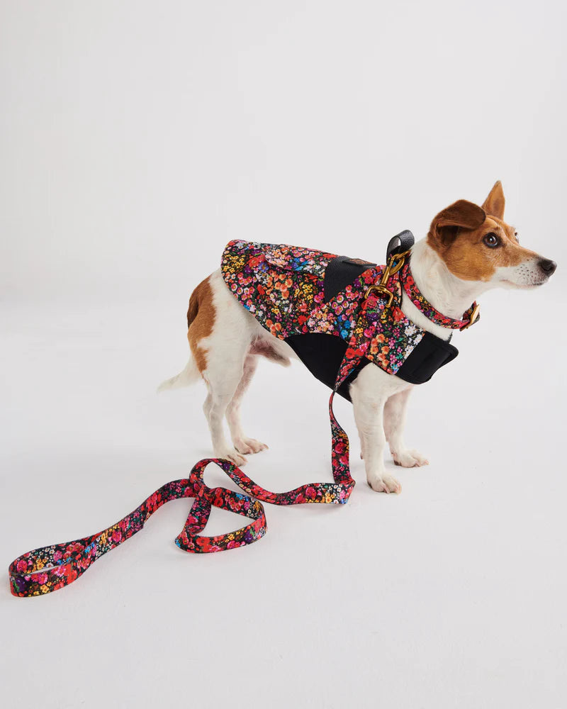 Dog Harness - Forever Floral Black | Kip & Co