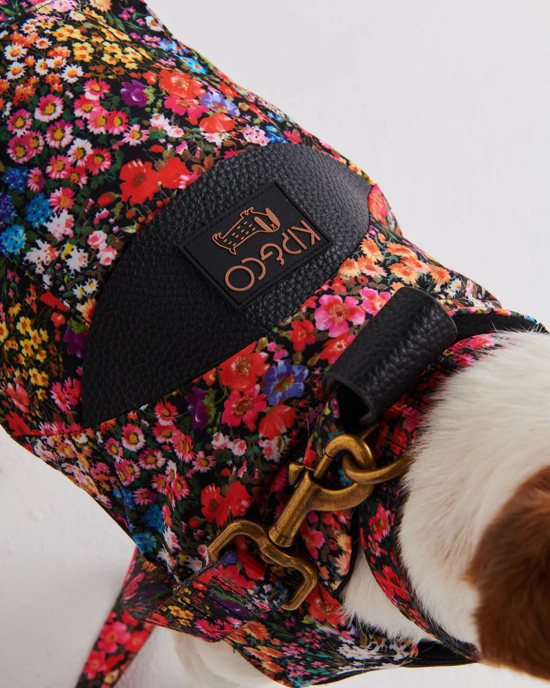 Dog Harness - Forever Floral Black | Kip & Co