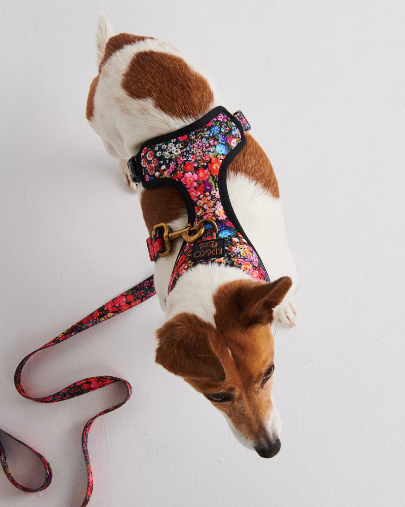 Dog Harness - Forever Floral Black | Kip & Co