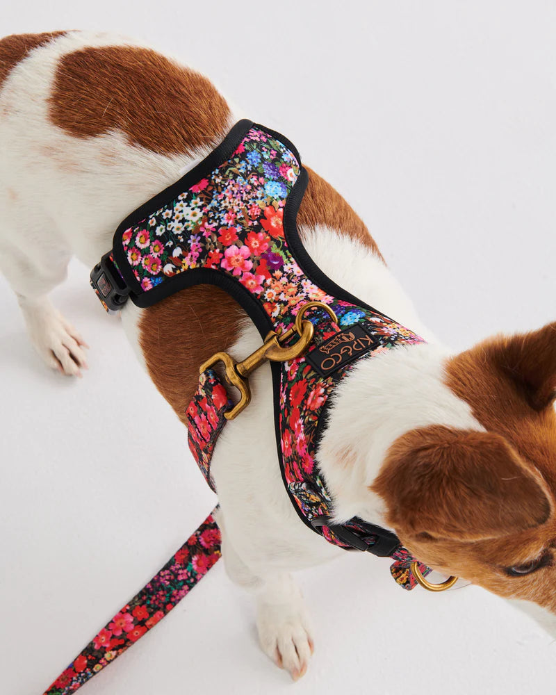 Dog Harness - Forever Floral Black | Kip & Co