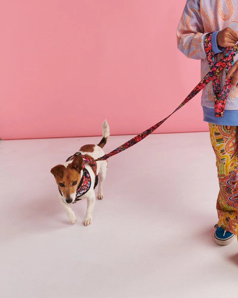 Dog Harness - Forever Floral Black | Kip & Co