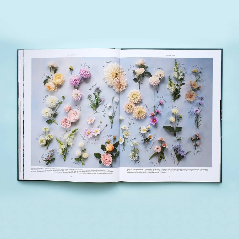 LOST & FOUND | Zoe Field
