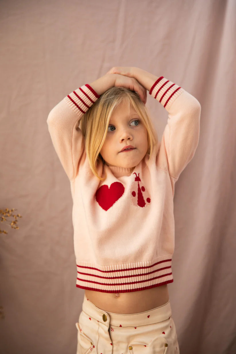 Little Ladybug Jumper - Piggy Pink | Pearson & Pearson