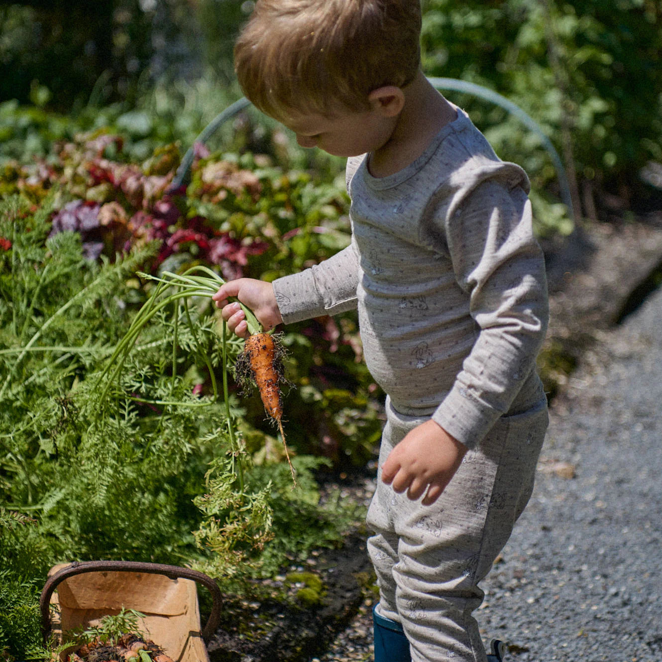 MERINO 2PC LONG SLEEVE PYJAMAS - Bramble Burrow Print | Nature Baby