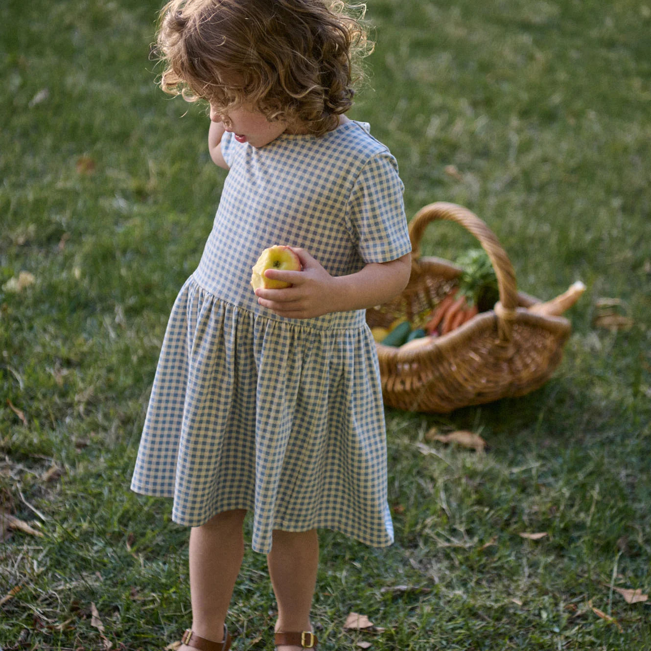 SATURDAY DRESS - Blue Gingham | Nature Baby