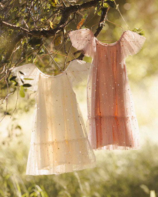 Edie Dress - Champagne Stars | Noralee