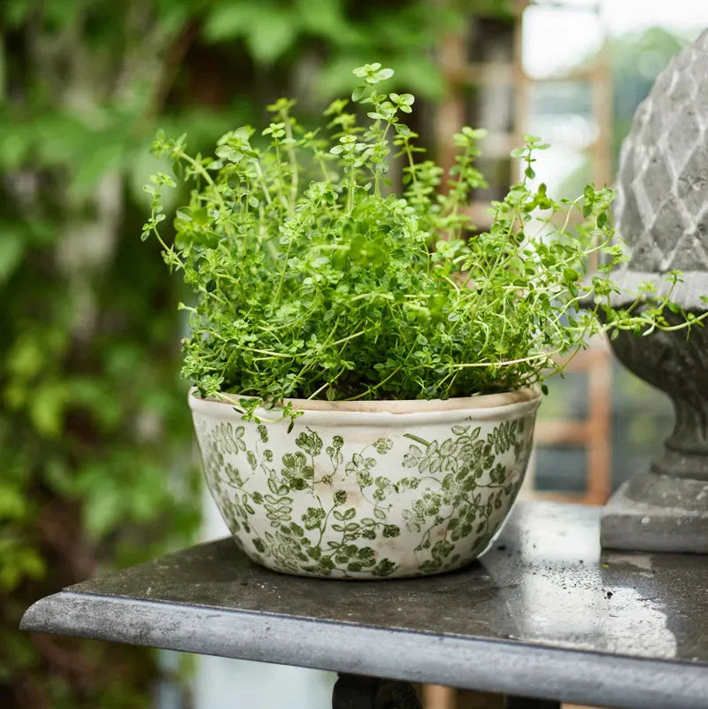 Botanical Pot - Large | French Country