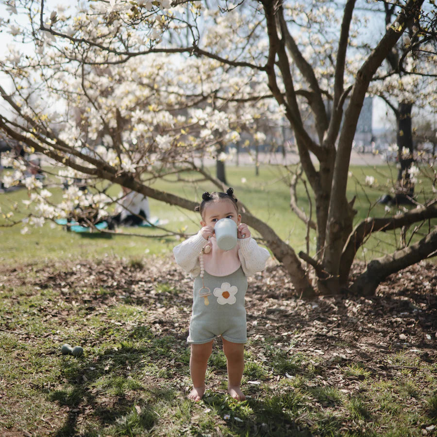 Trainer Sippy Cup with Handle - Sage | Mushie