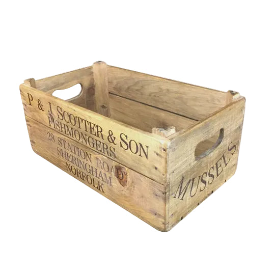 XL Box | Blue Goose Imports