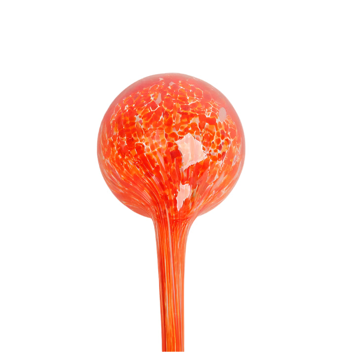 Glass Plant Feeder Large || Fire | Saffron Inc.