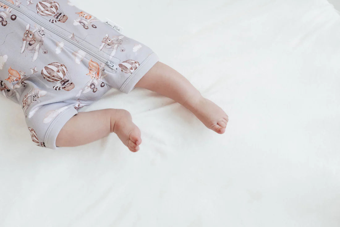 Flying Friends SS Zip Romper || Blue | Aster & Oak