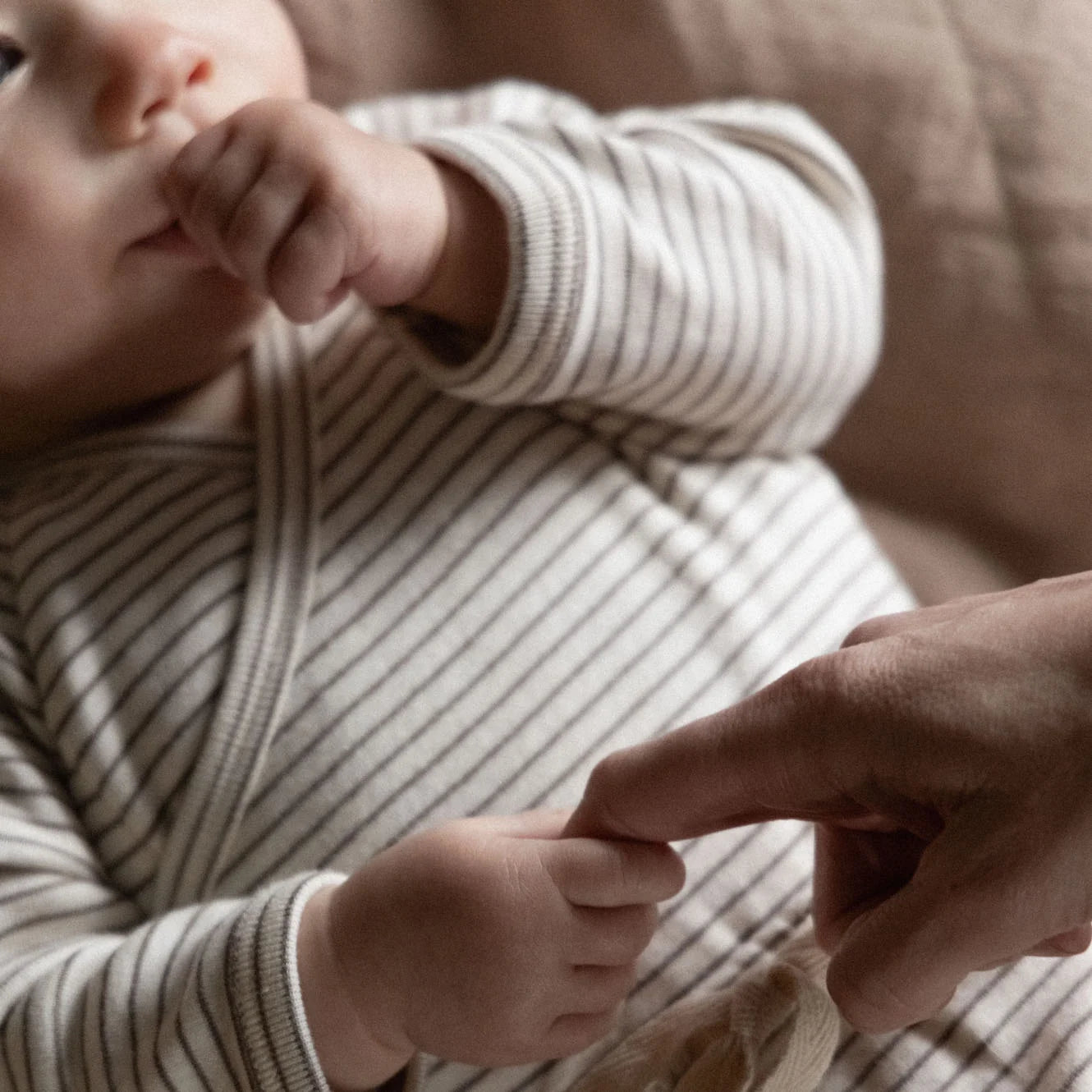 LONG SLEEVE KIMONO BODYSUIT - Mushroom Pinstripe | Nature Baby