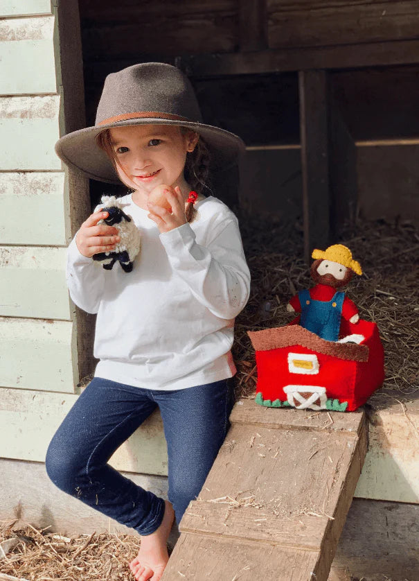 Farmyard Play Set | Pashom