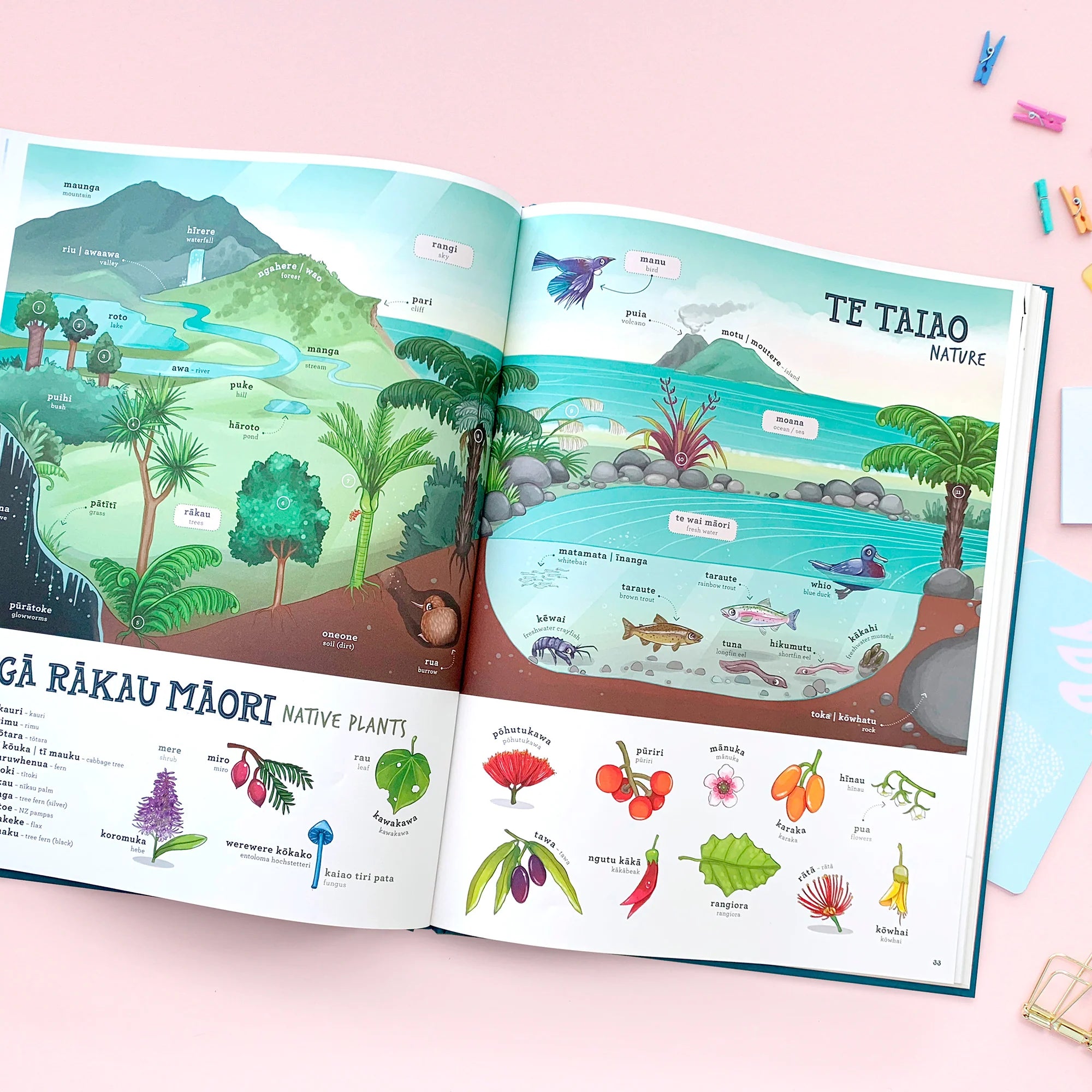 Māori Picture Dictionary - He Papakupu Whakaahua | Illustrated Publishing