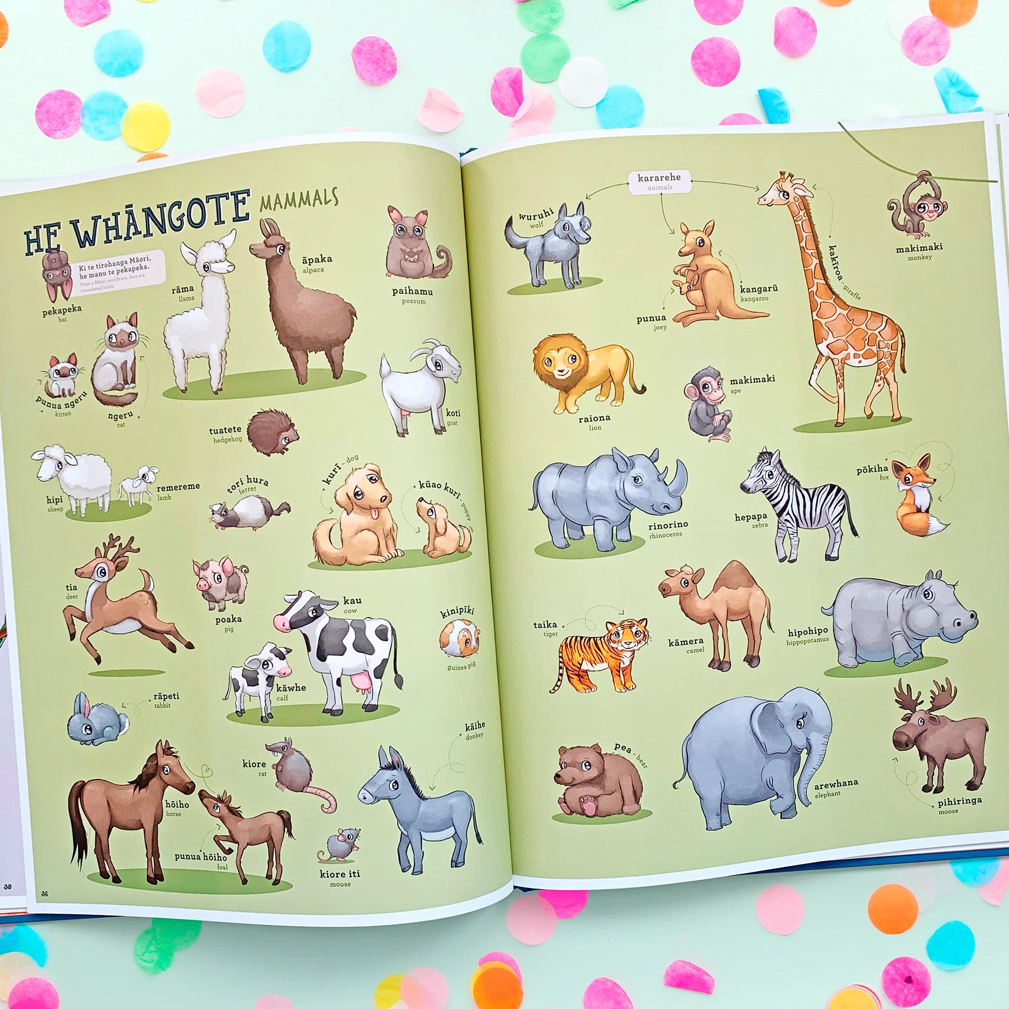 Māori Picture Dictionary - He Papakupu Whakaahua | Illustrated Publishing