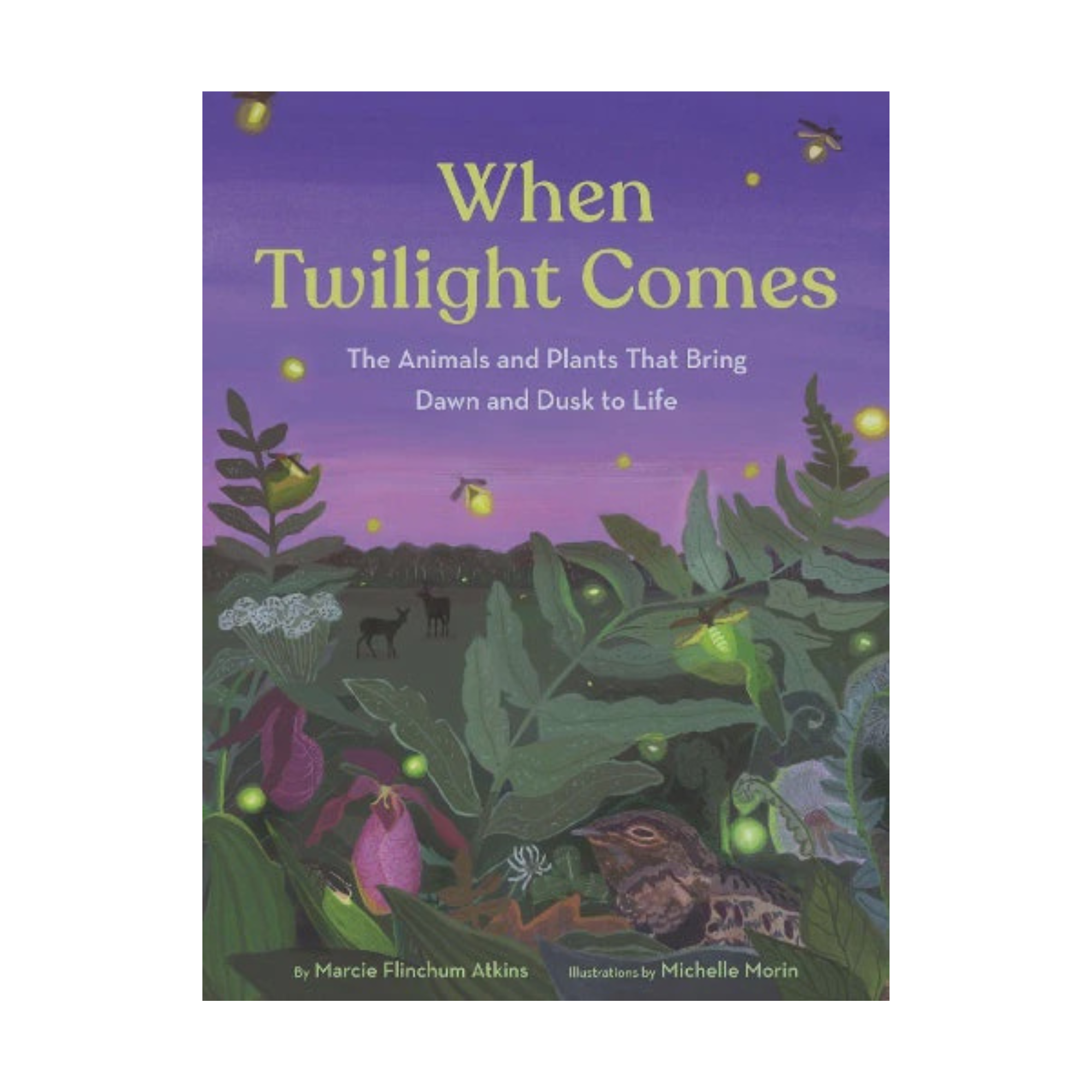 When Twilight Comes | Marcie Flinchum Atkins