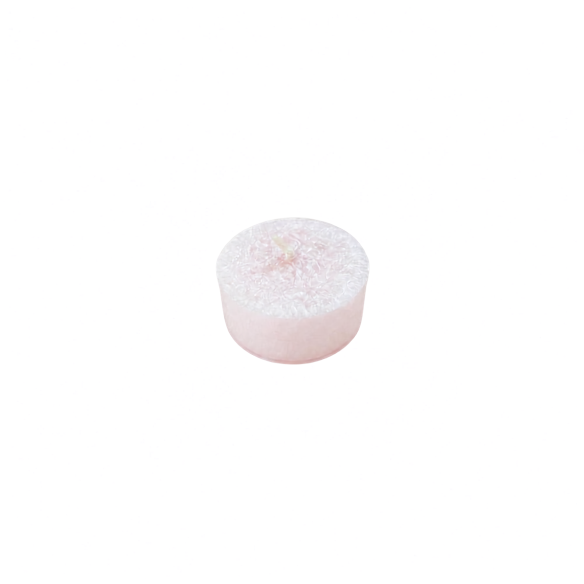 Peony Rose Tea Lights | Living Light