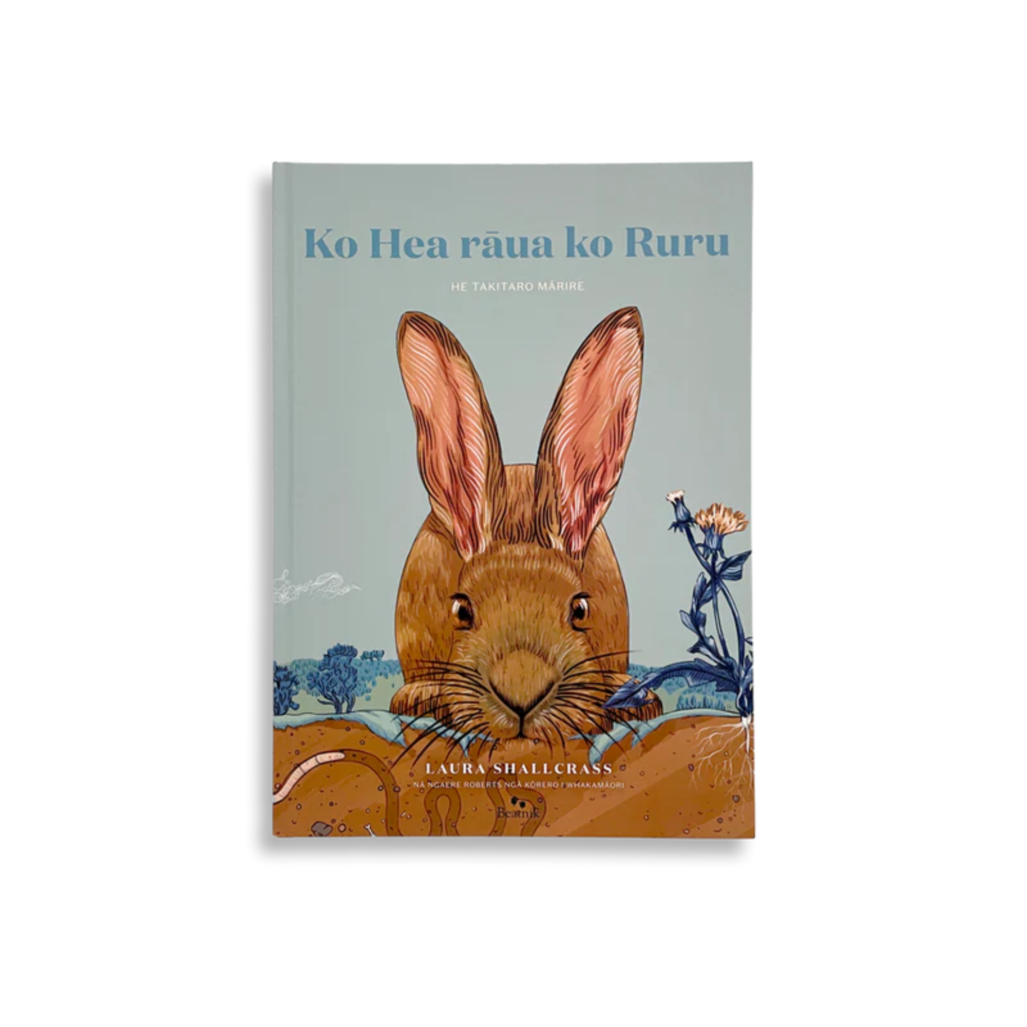 Ko Hea rāua ko Ruru: He Takitaro Mārire | Laura Shallcrass