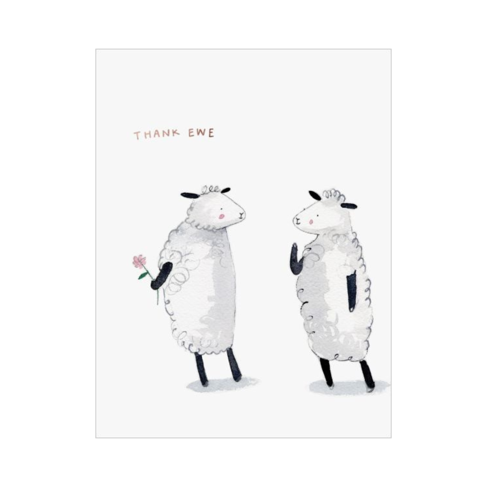 Card - Thank Ewe | E. Frances