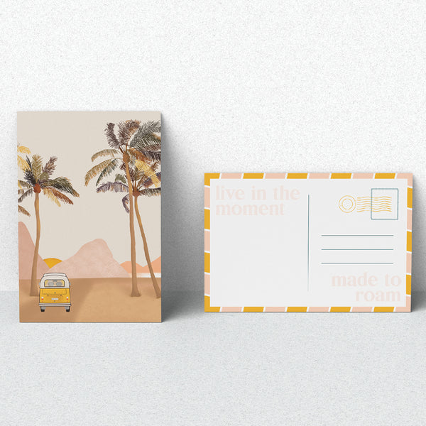 Sun Seeker Set - Coconut + Lime | Smelly Balls