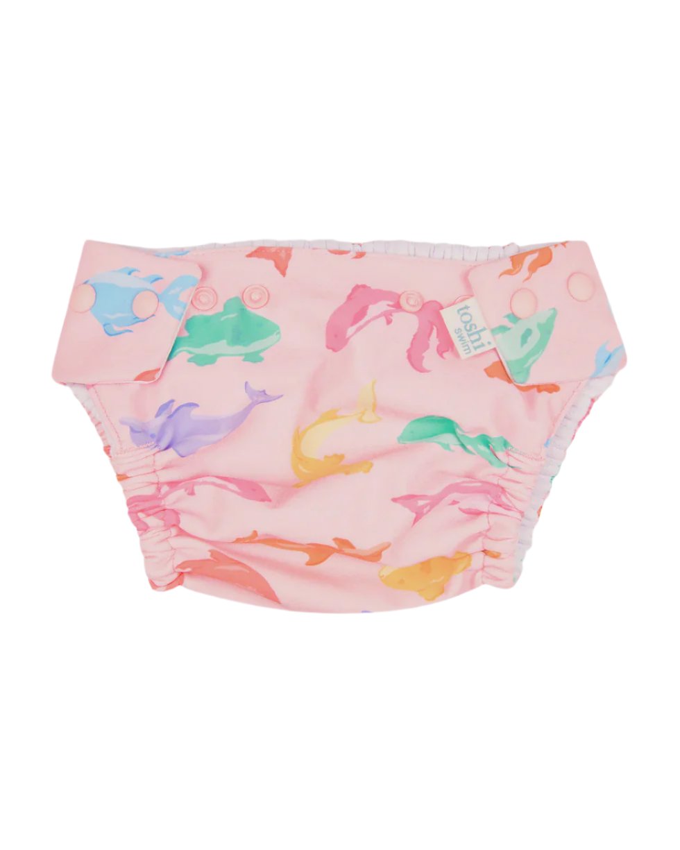 Swim Baby Nappy Classic - Dishy Fishy | Toshi