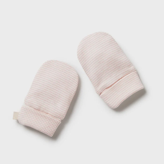 Organic Stripe Rib Mittens - Cantaloupe - Organic Stripe Rib