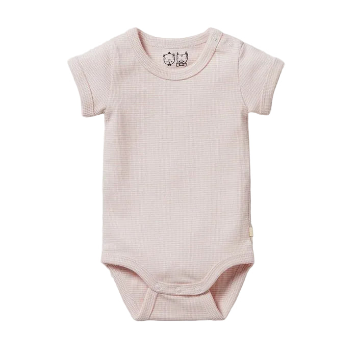 Organic Stripe Rib Bodysuit - Cantaloupe - Organic Stripe Rib | Wilson + Frenchy