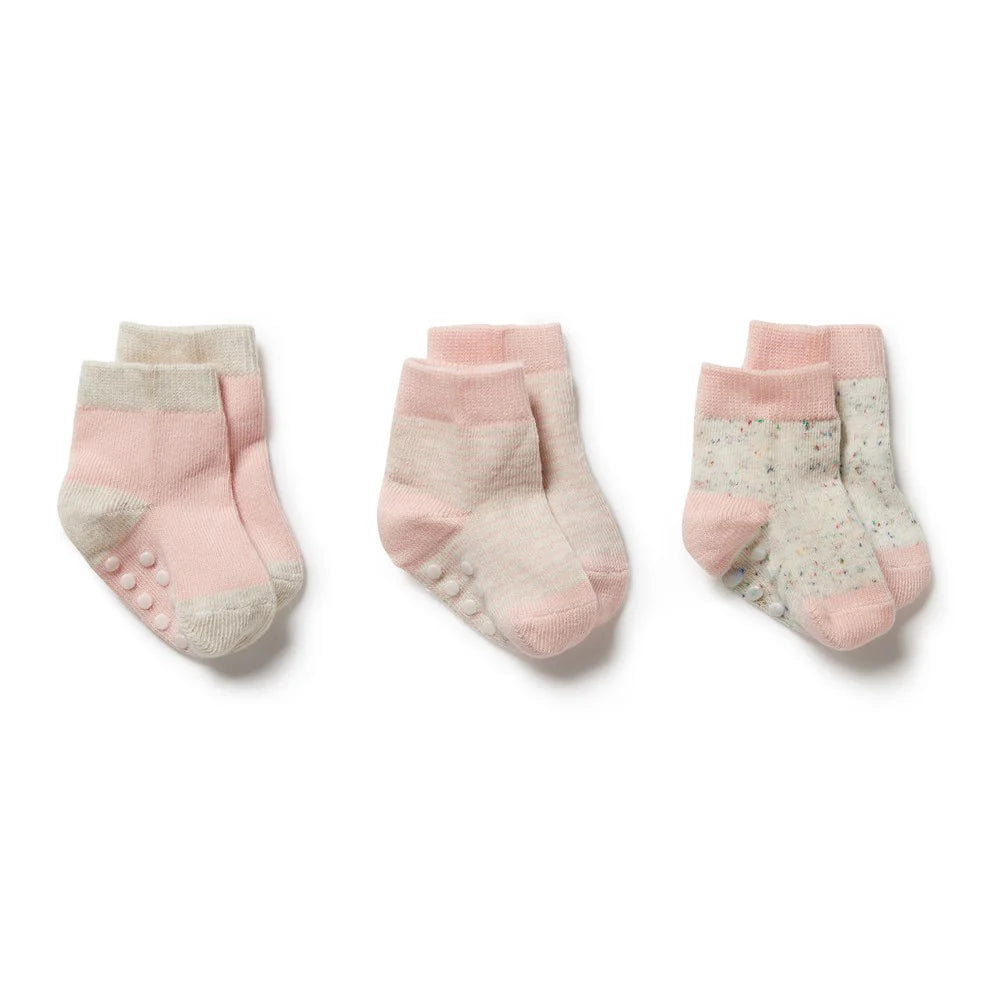Organic 3 Pack Baby Socks - Cantaloupe - Cotton Nylon Knit | Wilson + Frenchy