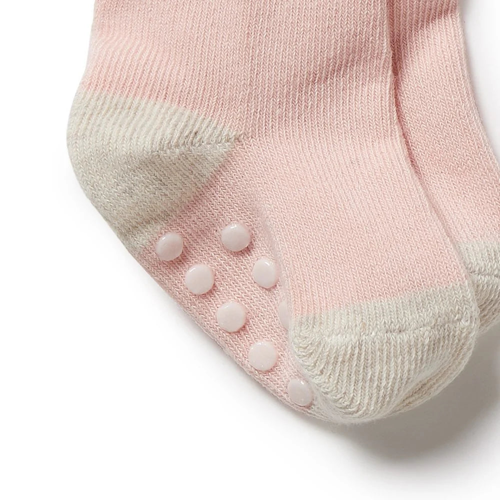Organic 3 Pack Baby Socks - Cantaloupe - Cotton Nylon Knit | Wilson + Frenchy