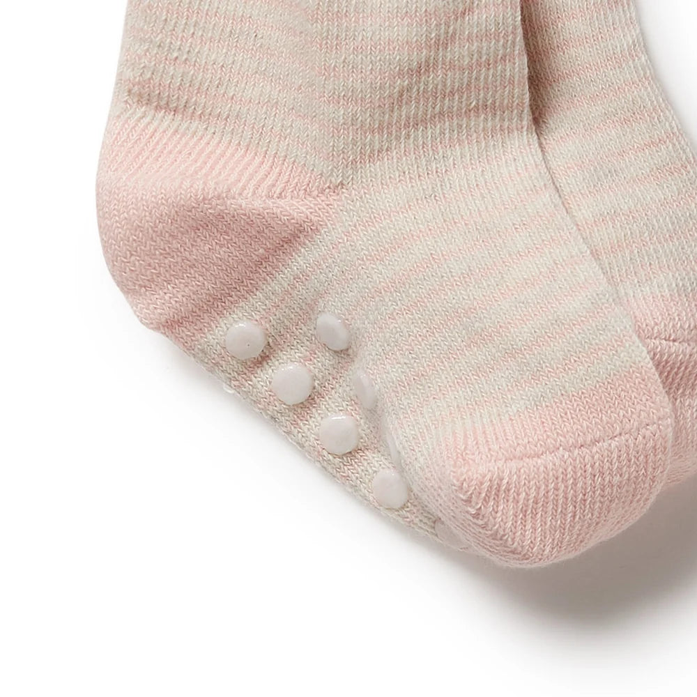 Organic 3 Pack Baby Socks - Cantaloupe - Cotton Nylon Knit | Wilson + Frenchy