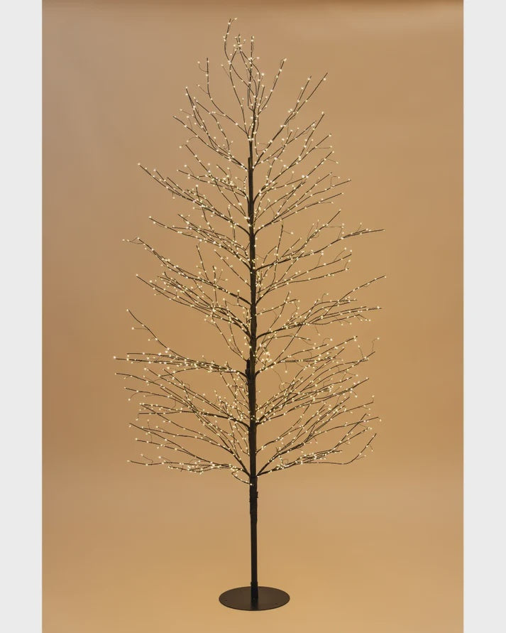 Willow Tree Black WW - 150cm | Stellar Haus