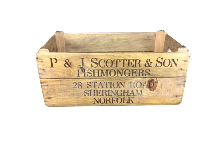 XL Box | Blue Goose Imports