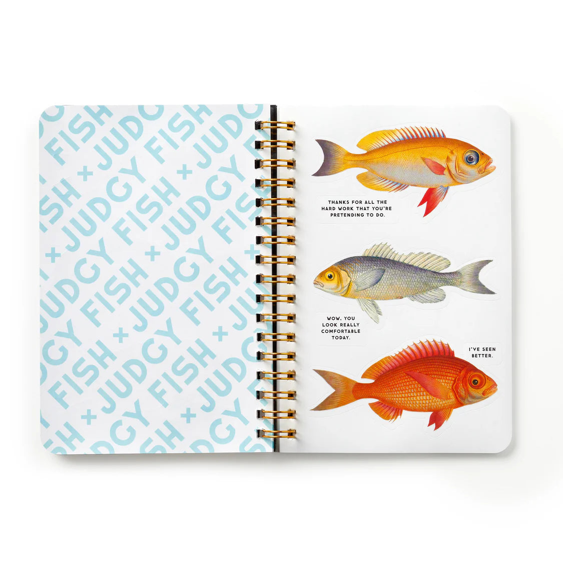 Judgy Fish Sticker Book Multi-Coloured | Brass Monkey