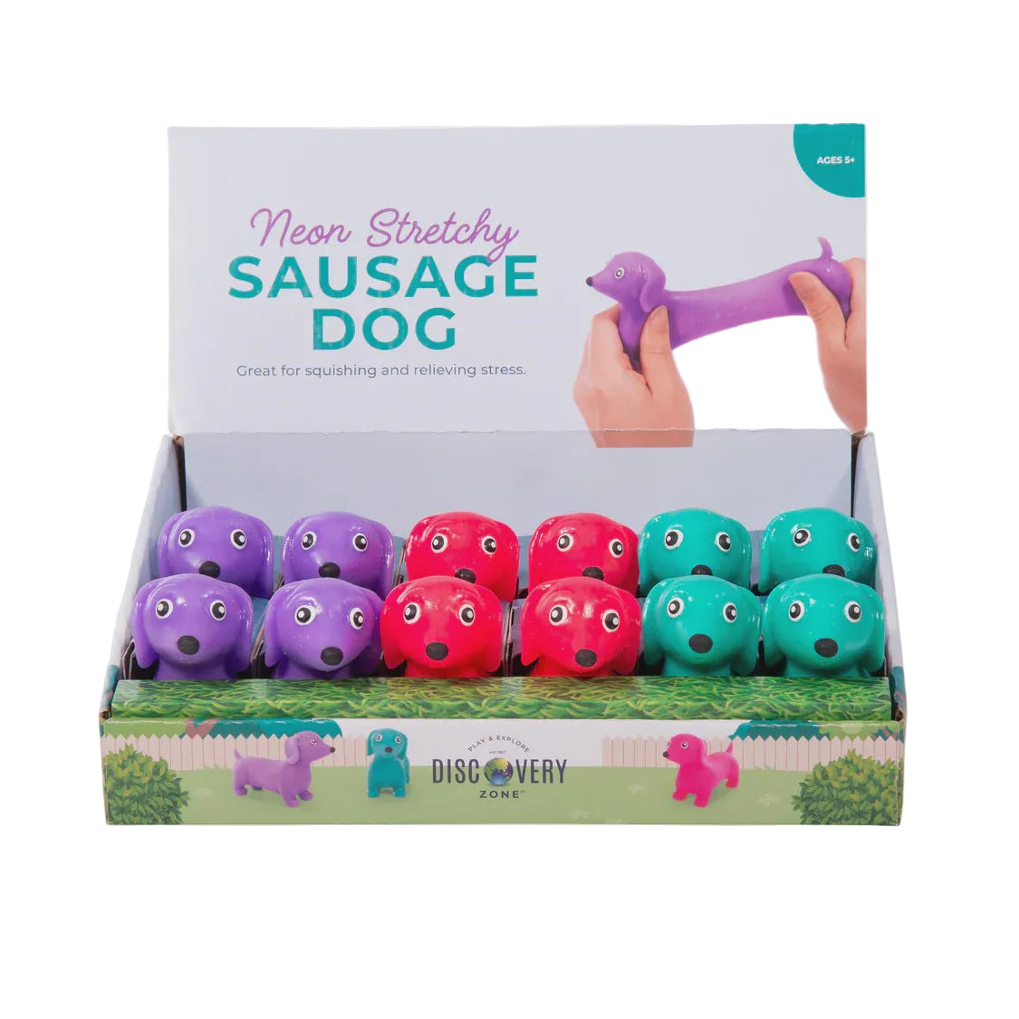 Stretchy Sausage Dog - Neon | Discovery Zone